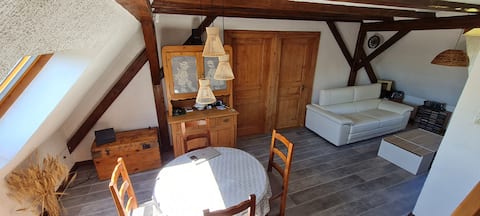 Annonce Airbnb populaire: Prunelle apartment à Munster