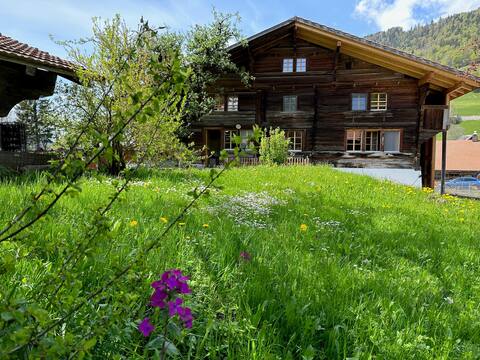 2-Bedrooms Apartment in a Chalet Wandelhorn