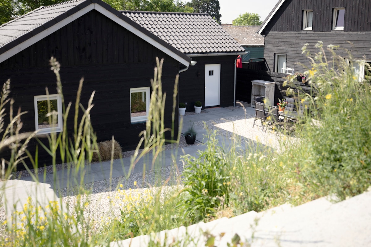 A view of the accommodation showcases two charming wooden structures surrounded by greenery. The foreground features tall grass and wildflowers, while a gravel pathway leads to an entrance. Potted plants add a touch of decor to the outdoor area, creating a welcoming environment.