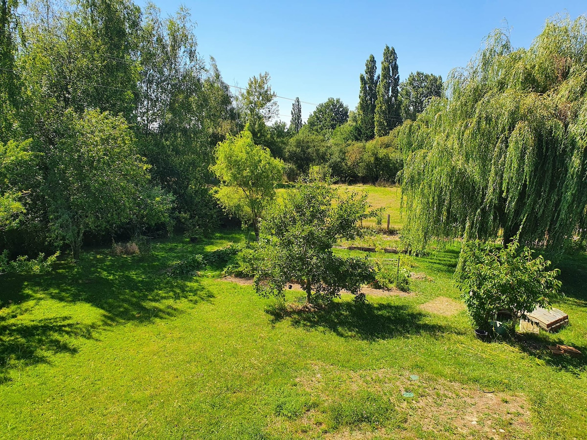 A spacious garden area is depicted, featuring lush green grass and a variety of trees, including fruit-bearing varieties. Sunlight bathes the landscape, highlighting the serenity of the outdoor space. The garden offers a tranquil setting with several shaded spots for relaxation.