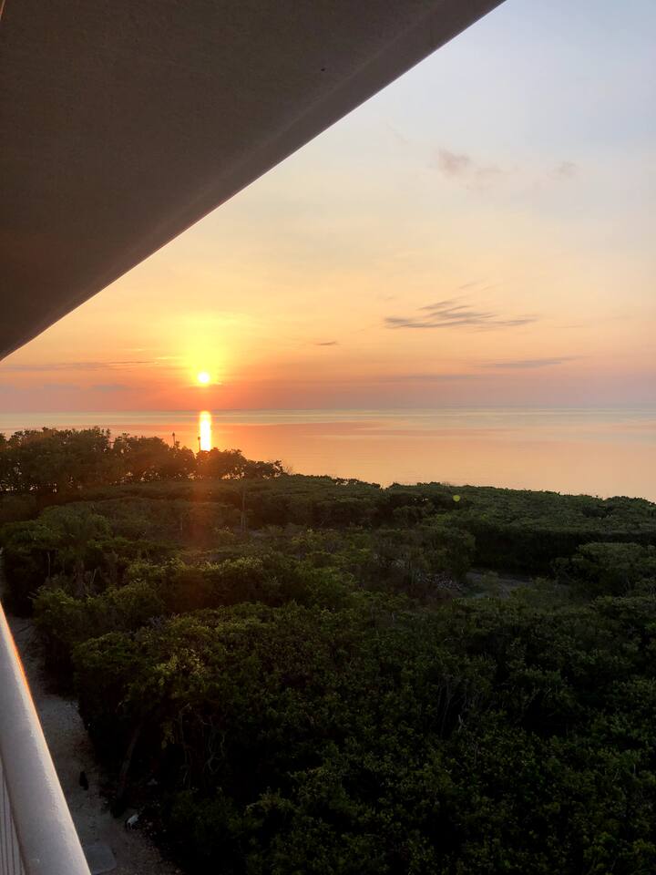 2B/2BA OCEAN VIEWS W/ 2 PRIVATE BALCONIES Condominiums for