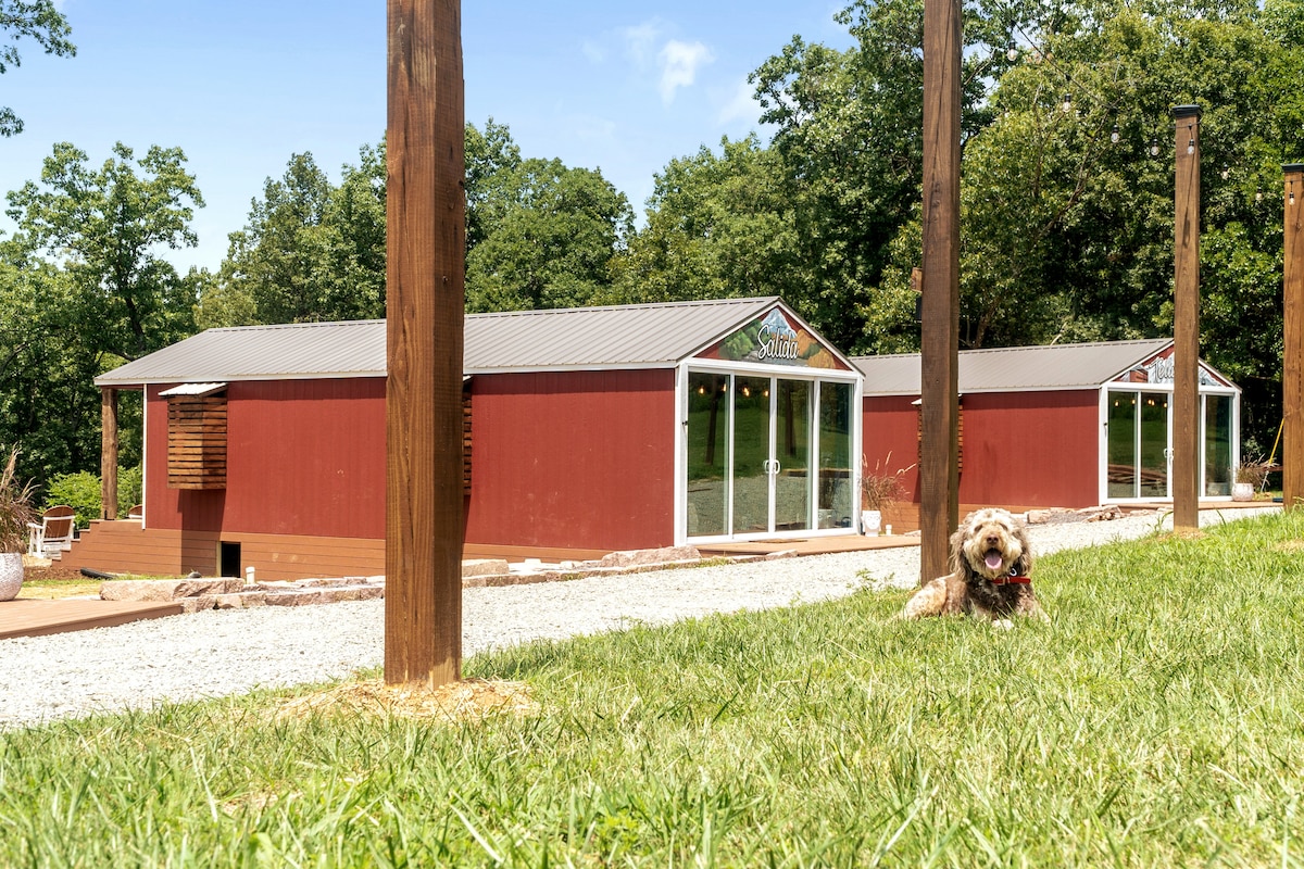 Two tiny houses feature large glass sliding doors, positioned on a gravel path surrounded by lush green grass. A dog sits contentedly in the foreground, adding a friendly touch to the serene outdoor setting framed by trees.
