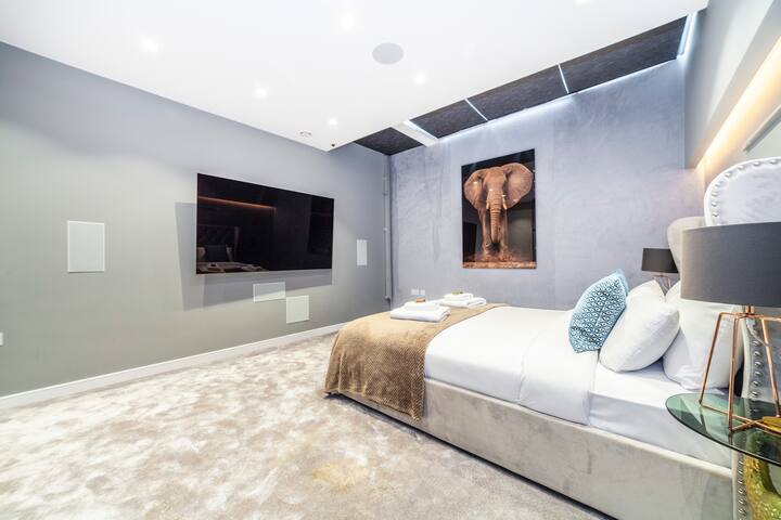 Luxury 3 BDR House with garden next to Battersea P gallery image 5