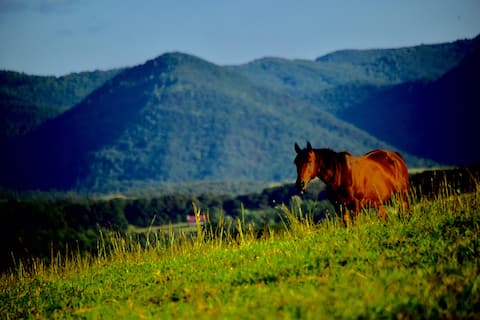 Water Trough Hill - Views of Lexington