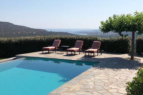 Elegant sea view villa with olive garden.