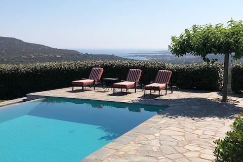 Elegant sea view villa with olive garden.