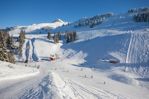 Propriété Airbnb réussie: Cozy studio between lake and mountains à Thollon Les Mémises