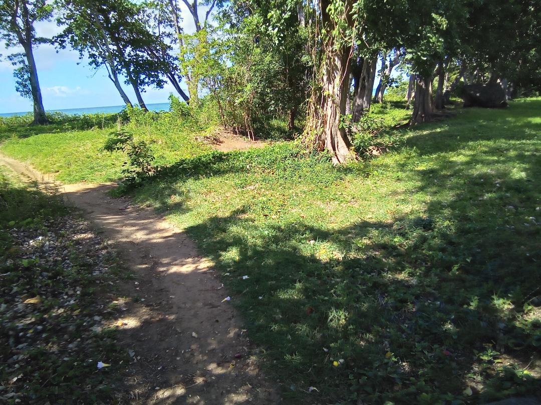 12 bed and breakfasts, a short walk to the sea Houses for Rent in