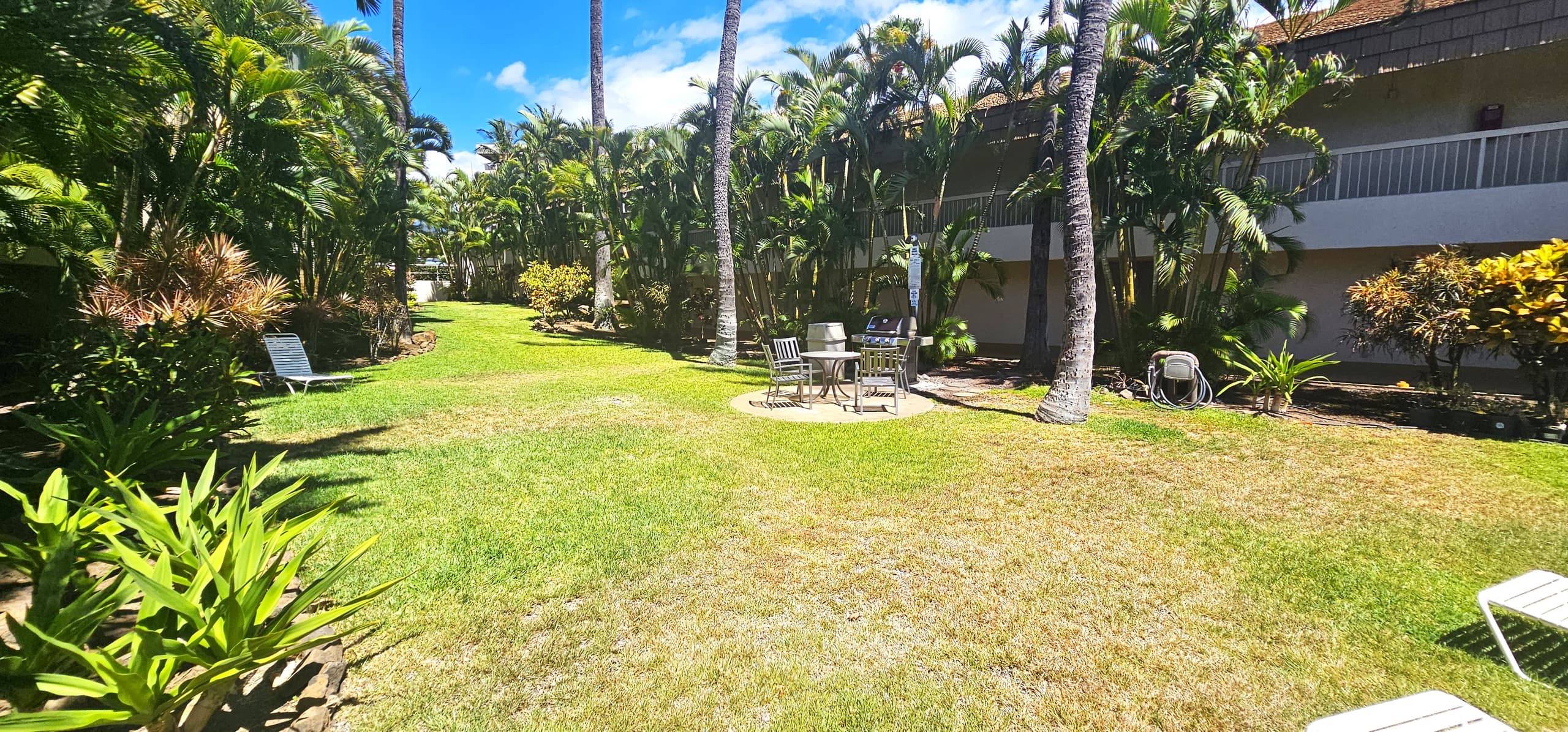 Maui Banyan 1bd steps to beach & restaurants - Image 19