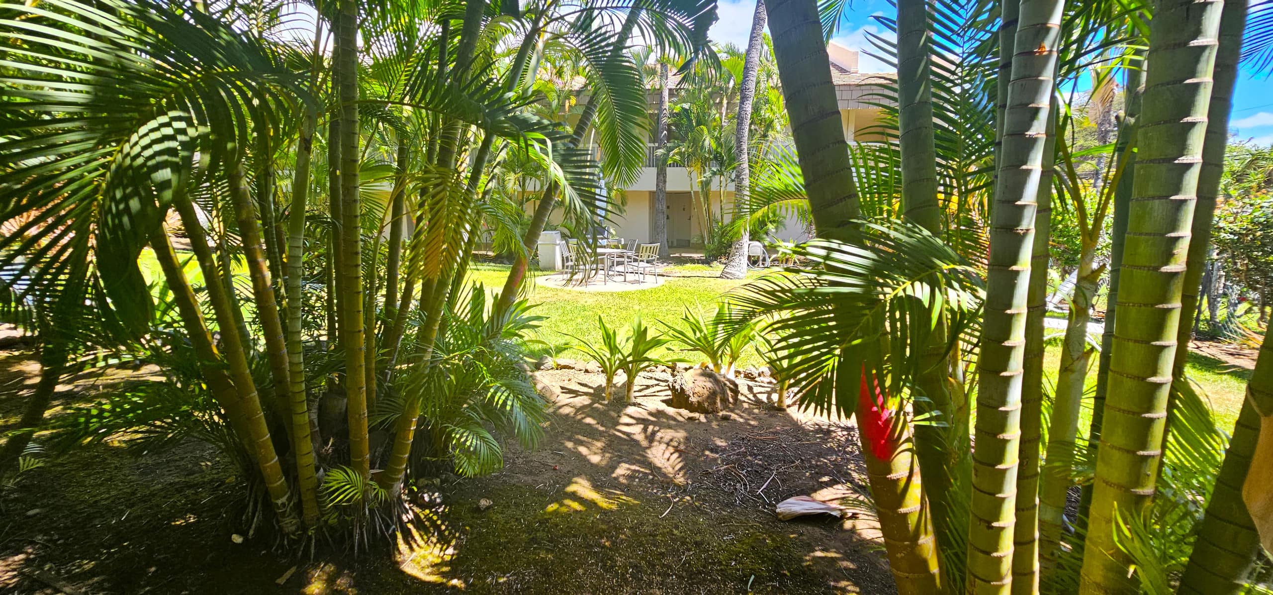 Maui Banyan 1bd steps to beach & restaurants - Image 18