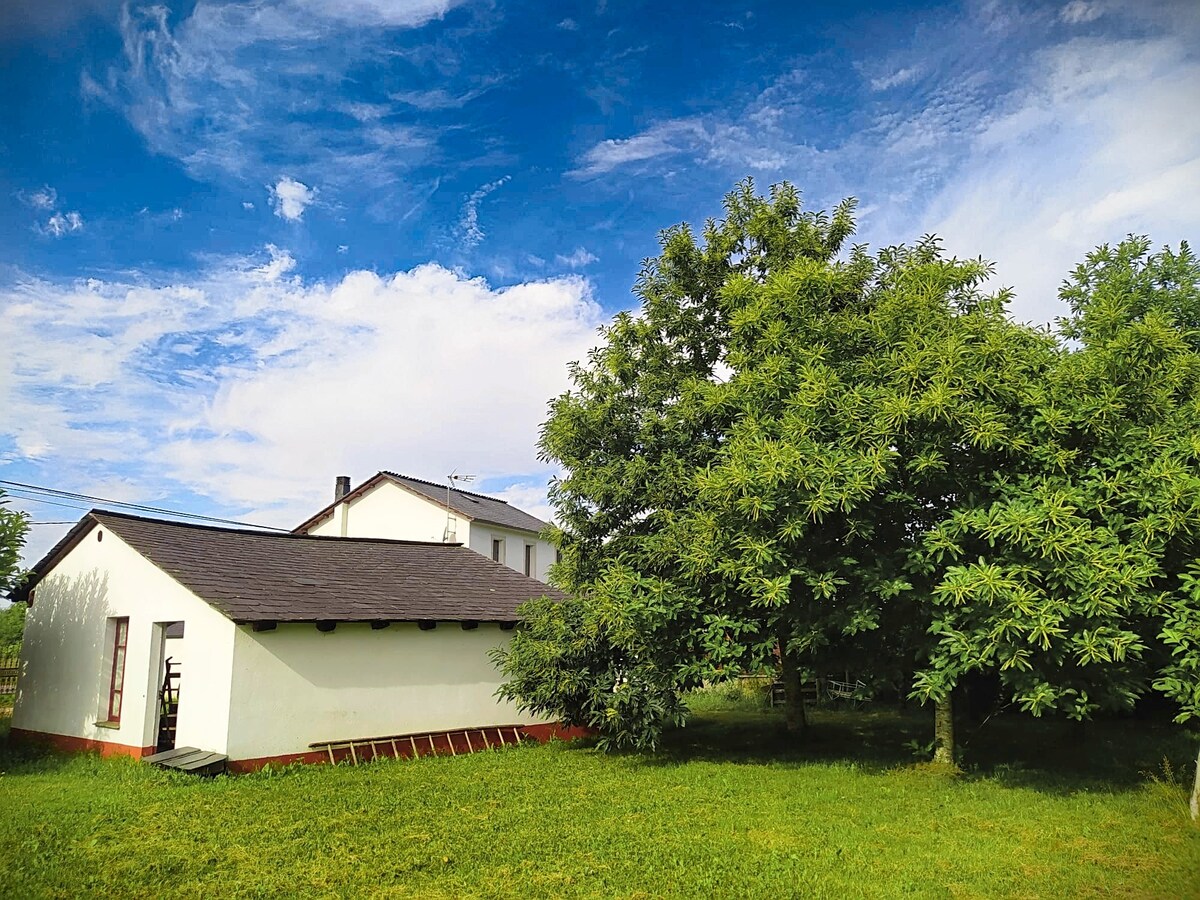 A white single-story house is set against a blue sky, surrounded by lush green grass and a large tree. The structure features a peaked roof and multiple windows, while a wooden ladder rests along the side, indicating space for outdoor activities.