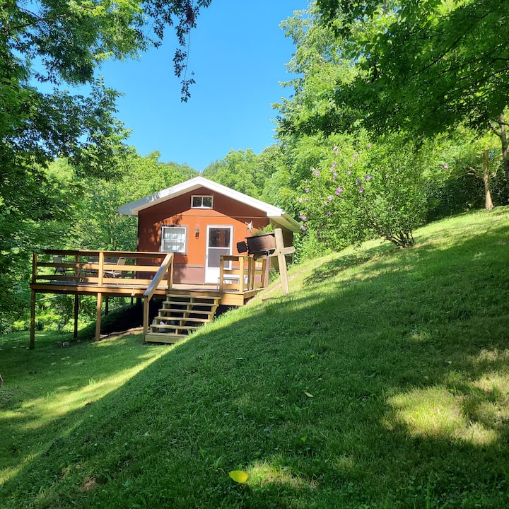 Shedlet 16 x 20 primitive cabin on 6 acres! Tiny houses for Rent in