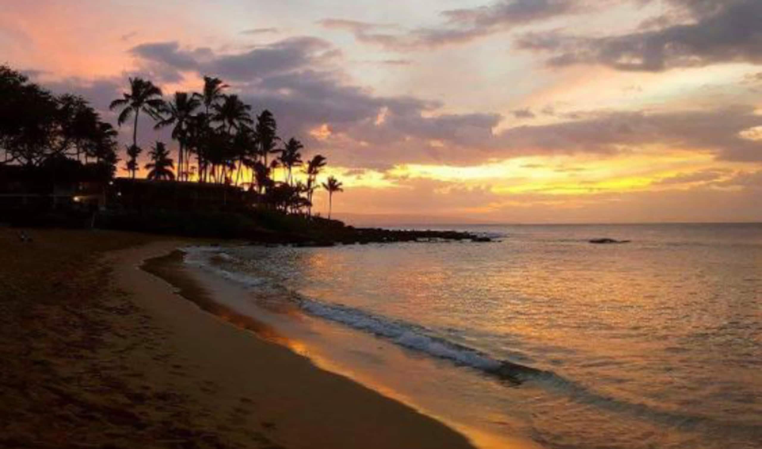 Condo in Lahaina · ★4.96 · 1 bedroom · 2 beds · 1 private bath - Image 49