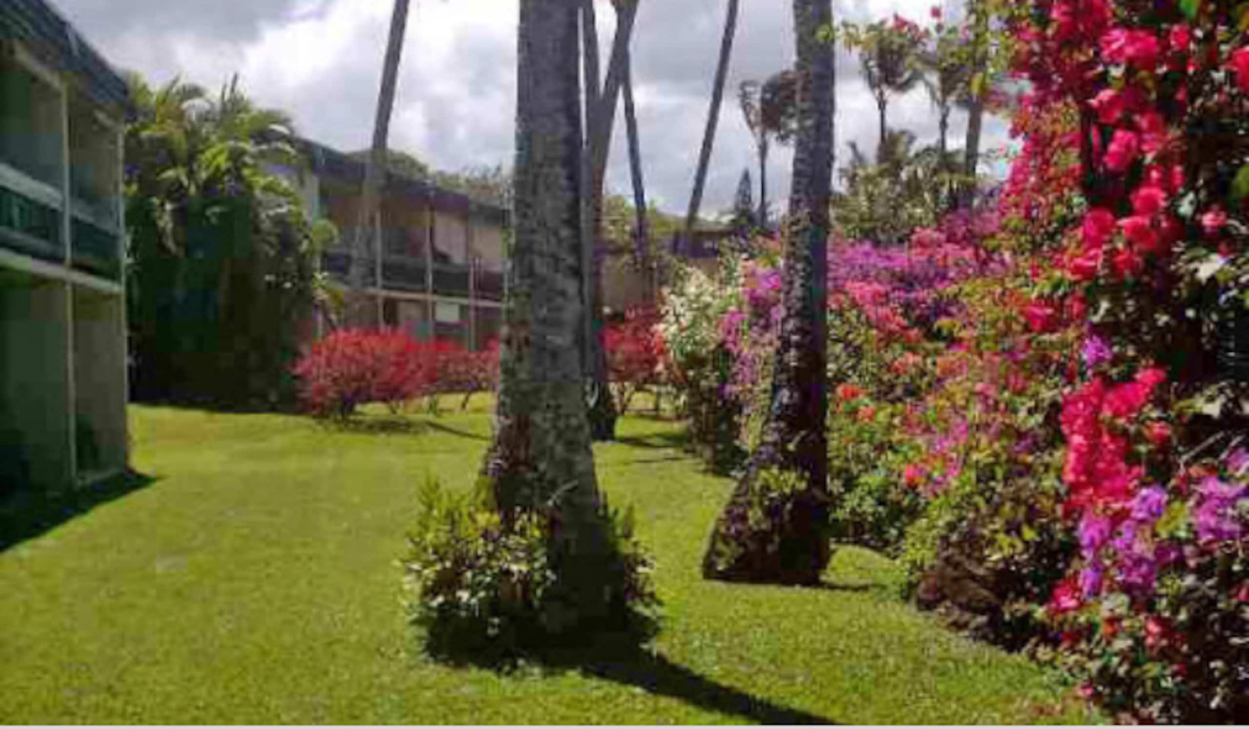 Condo in Lahaina · ★4.96 · 1 bedroom · 2 beds · 1 private bath - Image 38