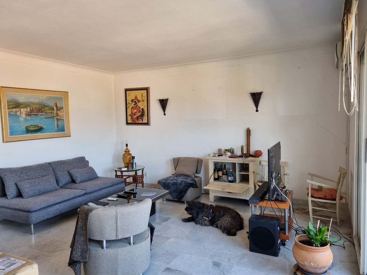 Top Airbnb: Large apartment, great view. a Perpignan