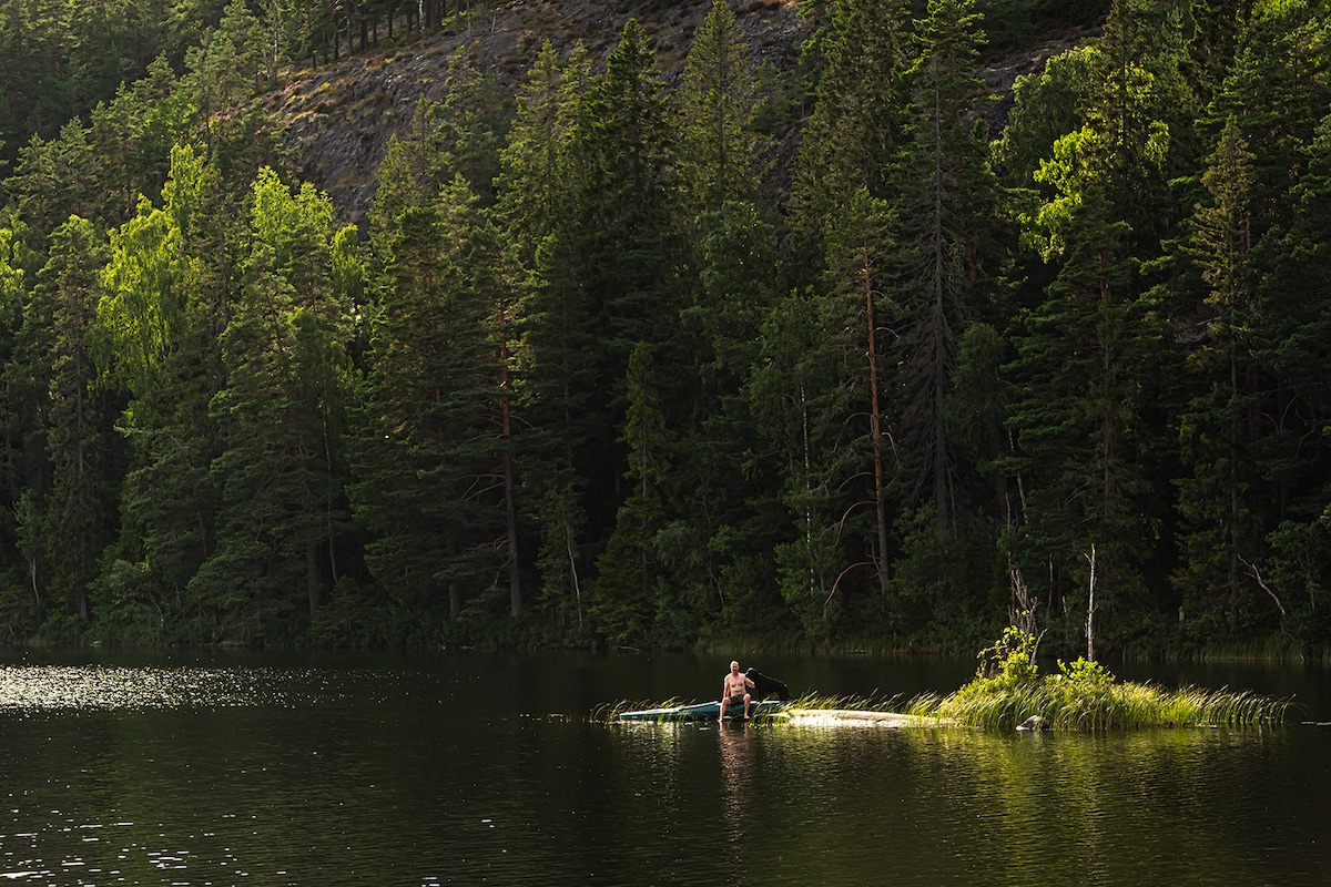 A serene lake is surrounded by dense greenery and tall trees. A small island of grass emerges from the water, where a person is seated in a canoe. The sunlight casts soft reflections on the water's surface, highlighting the peaceful setting.