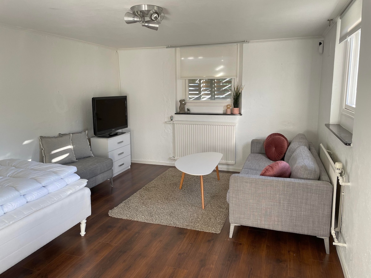 A spacious room is visible, featuring a large bed with white bedding, a gray sofa, and a small coffee table on a soft rug. A television is positioned on a nearby dresser, with light entering through a window that adds brightness to the area.