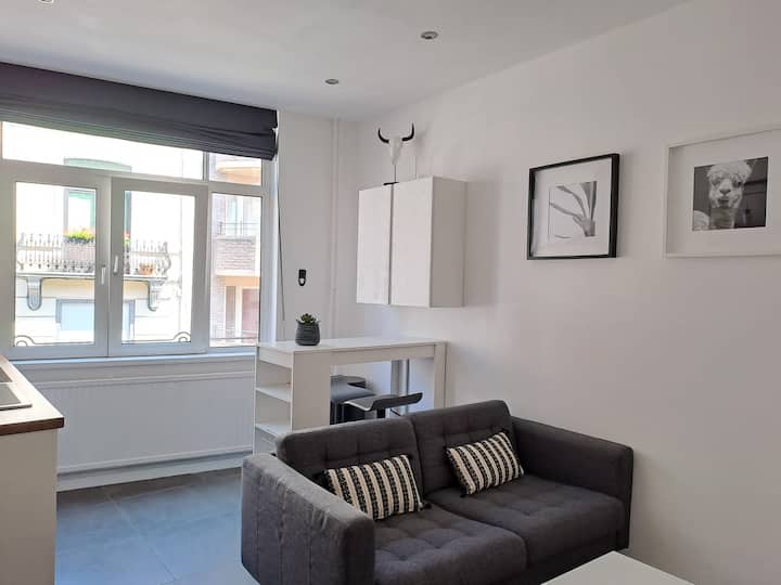 Modern Apartment Next To Parc Du Cinquantenaire - ベルギー ブリュッセル