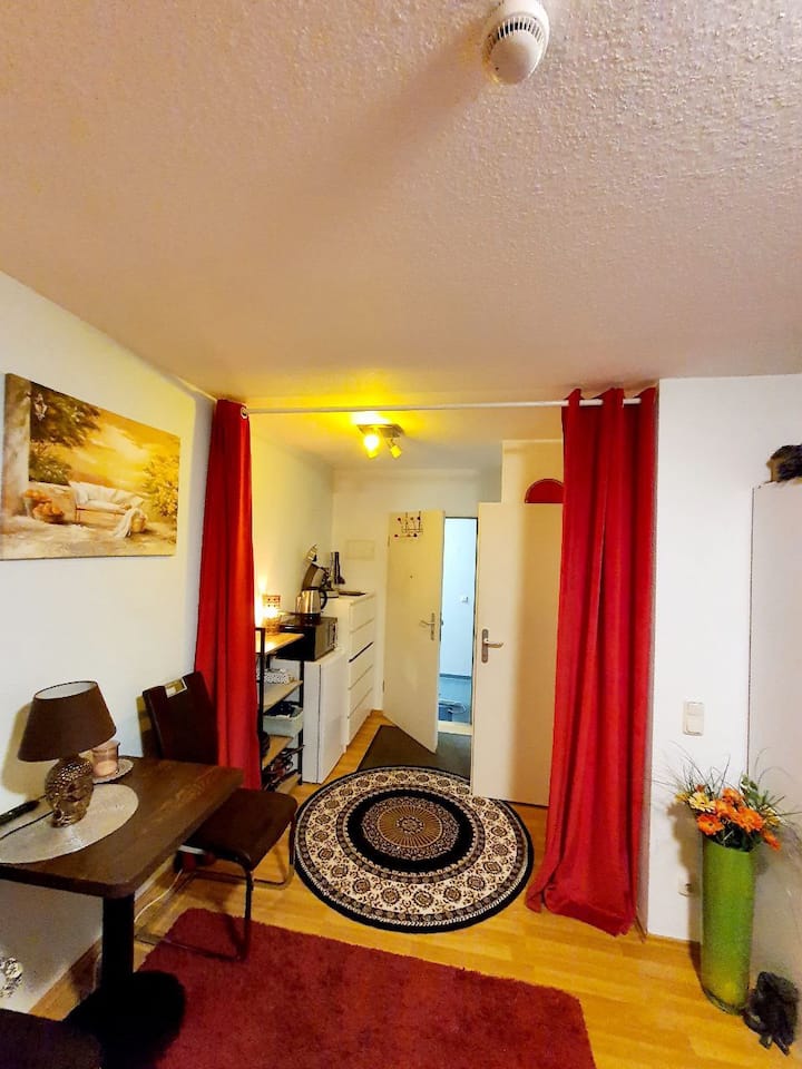 nice 1room apartment for rent Apartments for Rent in Mannheim, BadenWürttemberg, Germany