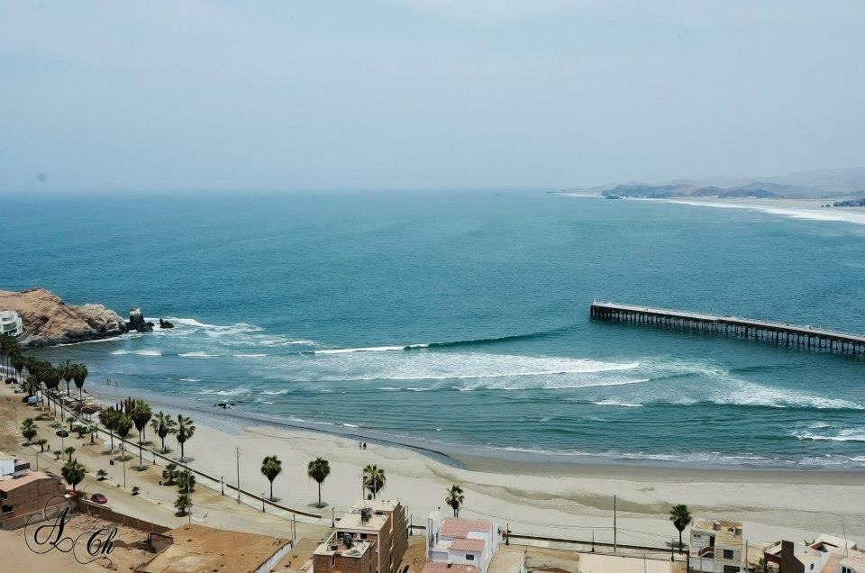 An expansive view of the coastline reveals gentle waves lapping against the shore. The shoreline is lined with palm trees, and a pier extends into the ocean. A sandy beach is visible, showcasing a tranquil sea under a clear sky.