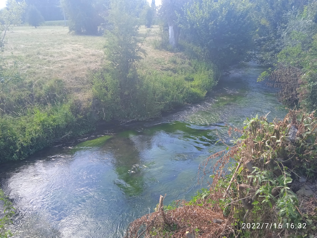 A gentle river flows through a lush green landscape, bordered by shrubs and trees. The water exhibits natural hues of blue and green, reflecting its calm surface. The scene conveys a serene atmosphere with open grassy areas visible in the background.