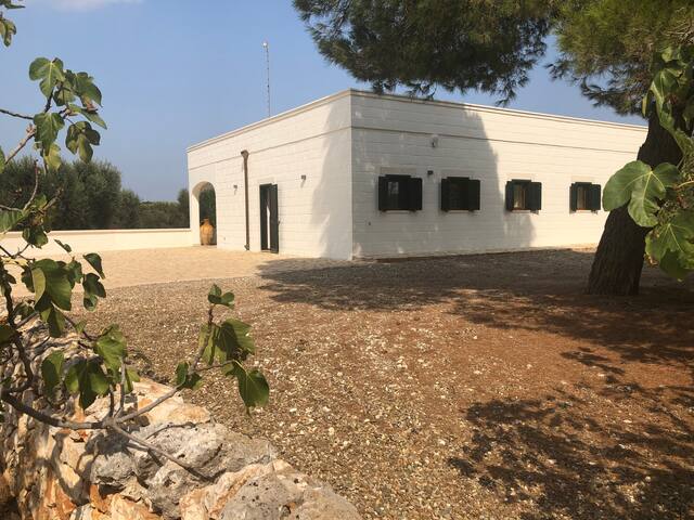 Villa Fiori d’Olivo gallery image 2