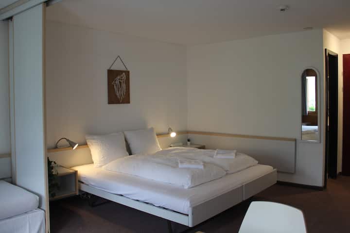 Self-in chambre - Chambres d'hôtes à louer à Grindelwald, Bern, Suisse -  Airbnb