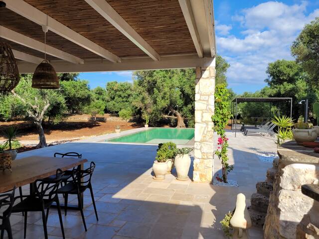 Lussuosa villa moderna con trulli e Piscina gallery image 3