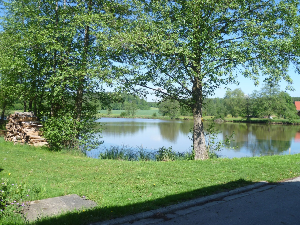 A serene lakeside scene features a calm body of water surrounded by lush greenery. Towering trees offer shade, and a neatly stacked pile of firewood is visible along the shore, contributing to the natural setting. The clear blue sky reflects peace and tranquility in this inviting outdoor space.