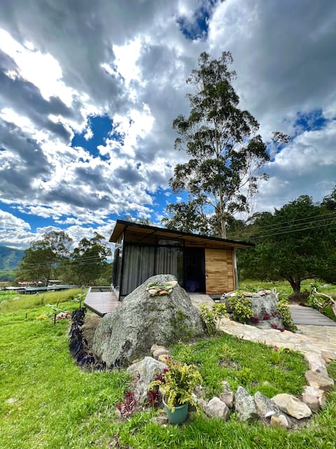 Crowned Sapphire Nest