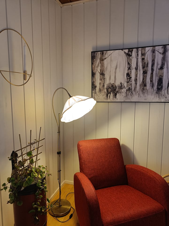 Joen Rannassa, Poreamme,ulkosauna,lumi,revontulet - Tervola