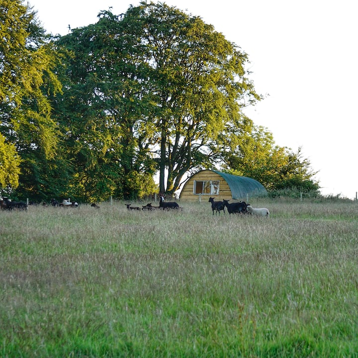 Heritage Valley Glampsite photo 4