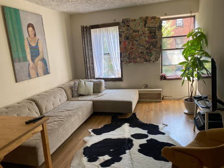 Emplacement incroyable et immense 1 chambre ensoleillée et lumineuse