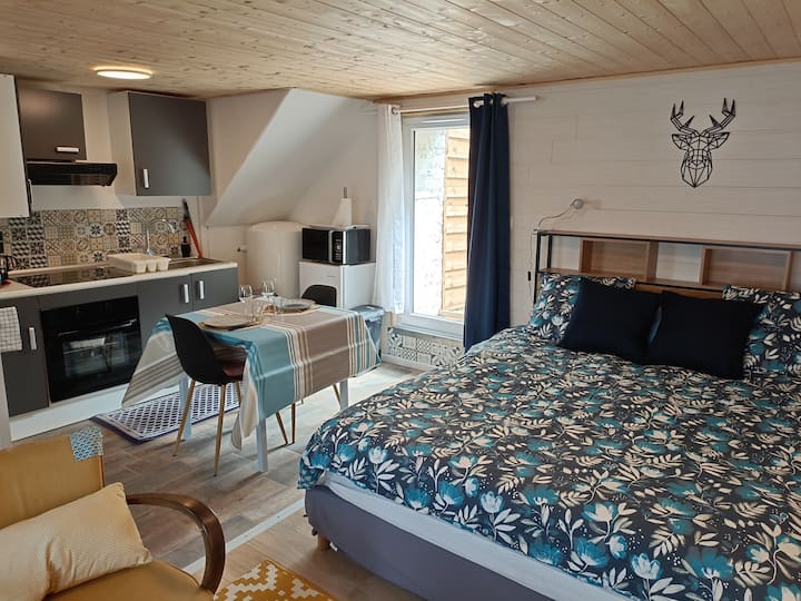 Rosporden Vacation Rentals & Homes - Brittany, France | Airbnb