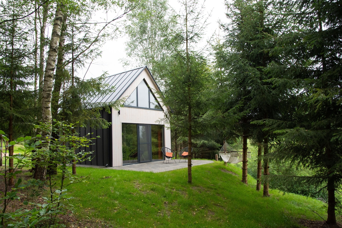 A modern home is framed by tall trees, with a grassy area leading to a small patio. Large glass doors reflect the surrounding greenery, while an orange chair and a hammock are positioned for relaxation.