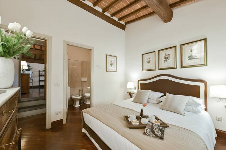 Buonarroti big apartment with terrace in Oltrarno gallery image 4