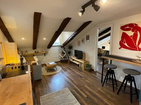 Beautiful and cosy apartment in city centre