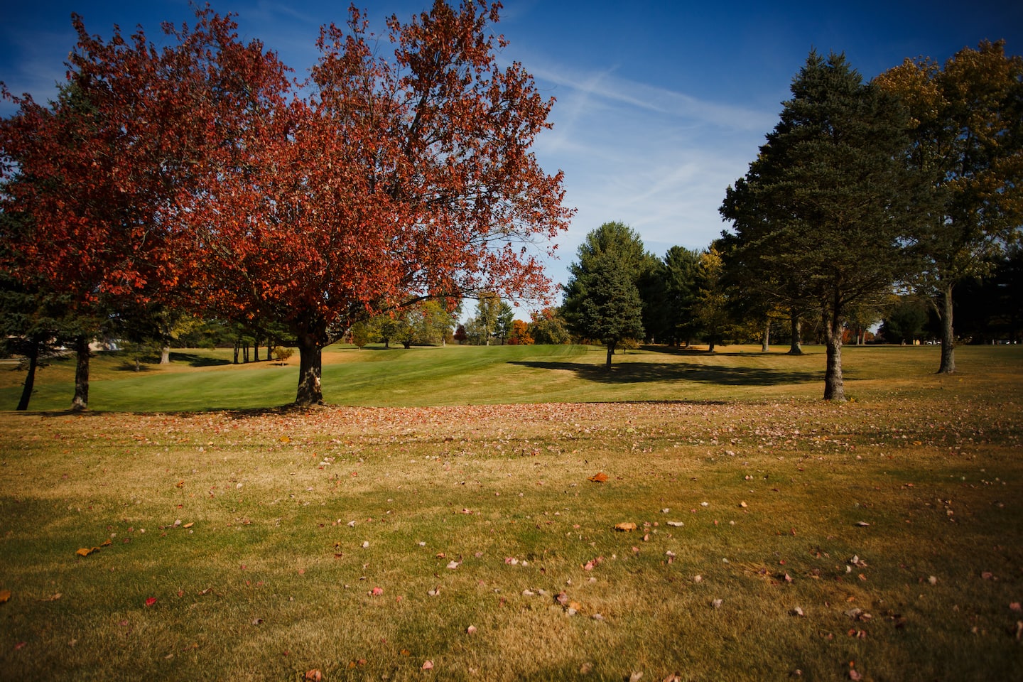Modern 4 Bed Home On Golf Course Close To Campus +