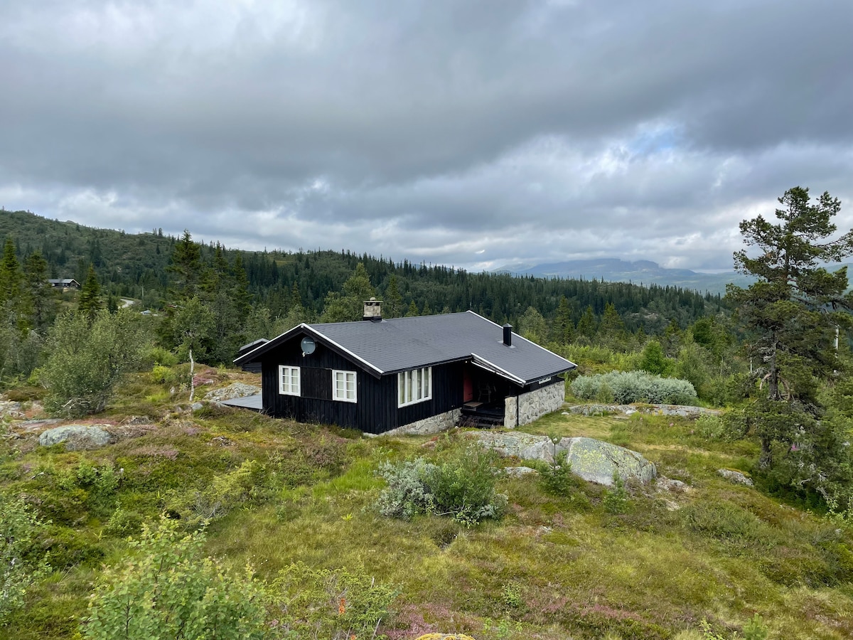 The exterior of a classic Norwegian cabin is shown, constructed from dark wood with a stone base. The cabin is surrounded by lush greenery and rocky terrain, with a panoramic backdrop of rolling hills and clouds in a gray sky.