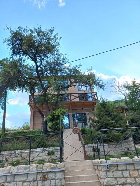 Bora kuće na reci