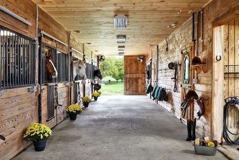 The Loft at Sneaky Fox Farm