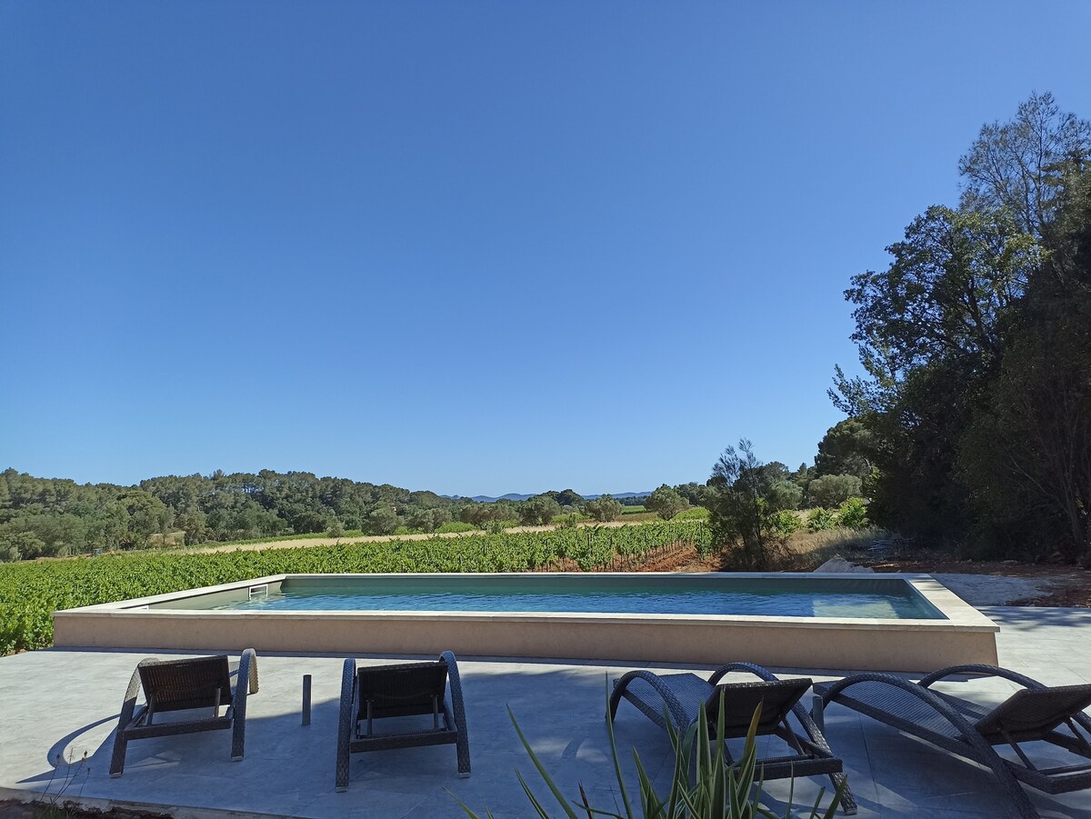 A serene pool area is depicted, featuring a calm water surface reflecting the clear blue sky. Several lounge chairs are positioned around the pool, offering views of the surrounding vineyards and greenery, creating an inviting outdoor retreat.