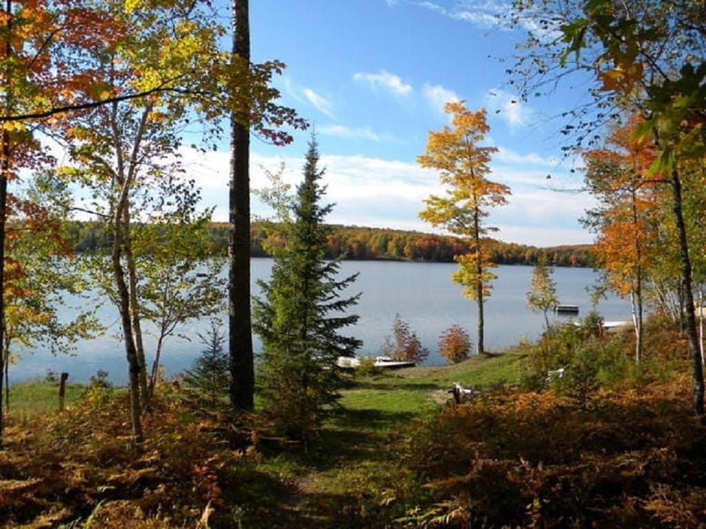 A serene view of a tranquil lake is framed by autumn foliage, showcasing vibrant orange and yellow leaves. The calm water reflects the clear blue sky, while lush greenery leads towards the lakeshore. Boats and a dock are visible in the distance, enhancing the natural landscape.