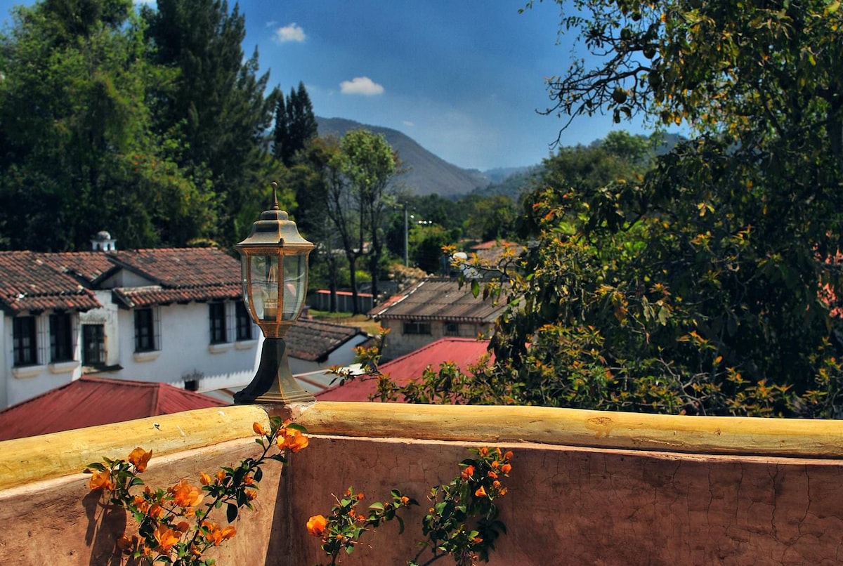 A terrace view is displayed with vibrant orange flowers cascading over a stone railing. Rolling green hills and rooftops of nearby homes are visible under a clear blue sky, with mountains faintly seen in the background, creating a serene atmosphere.