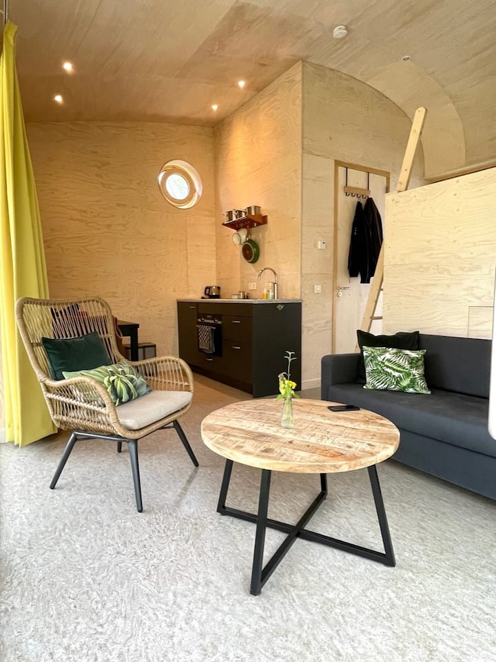 Modern Tiny House In Otterlo. - Ede