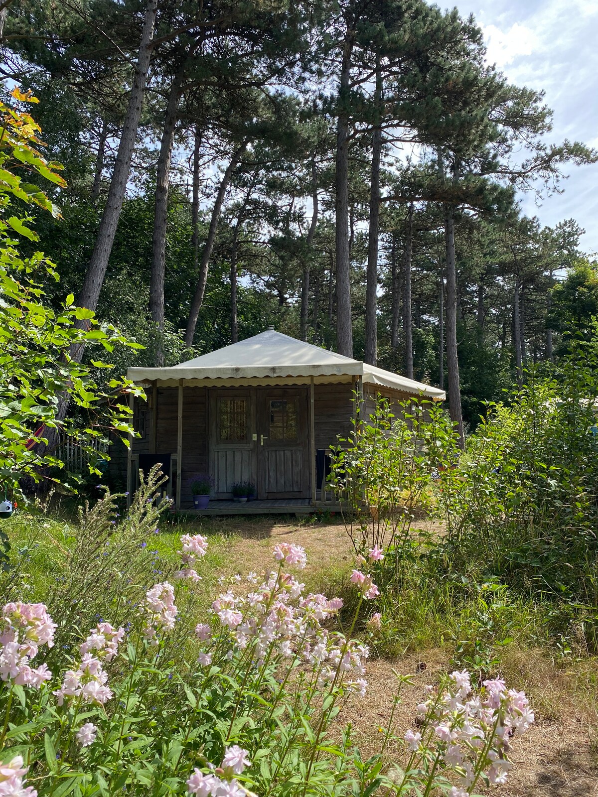 Popular Airbnb listing: Wooden cottage at campsite near Castricum aan Zee in Duin En Bosch