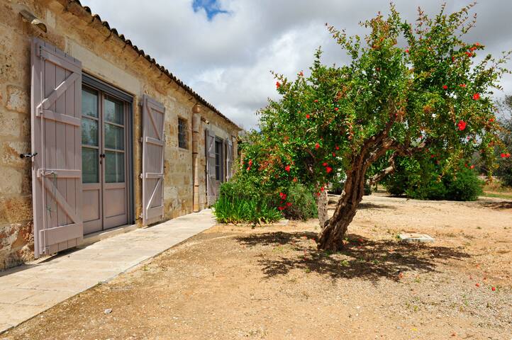 Masseria Don Tommaso gallery image 2