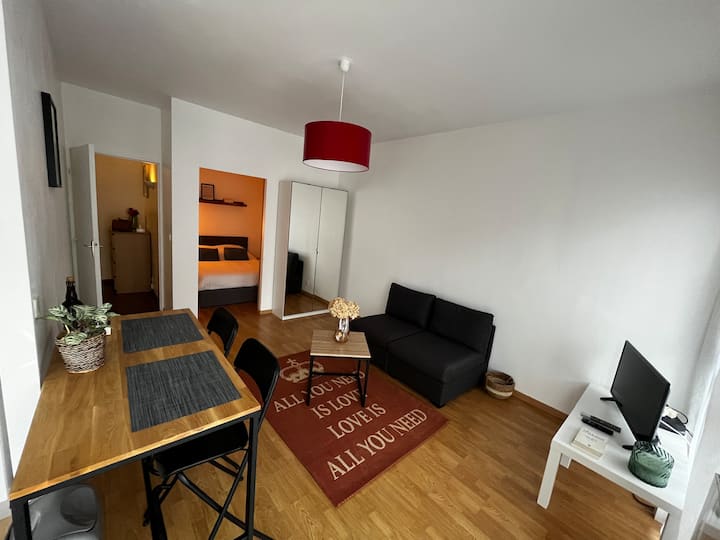 Apartment Studio garden level Lille Centre Condominiums for Rent in