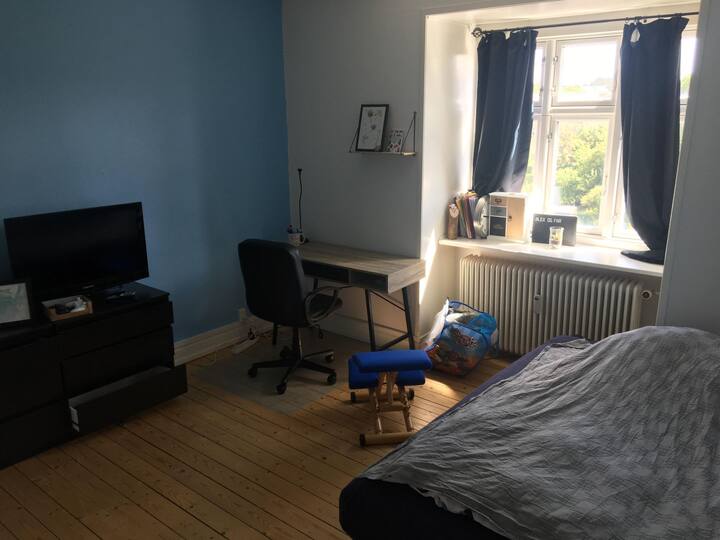 Nice apartment room close to city center and park Apartments for Rent