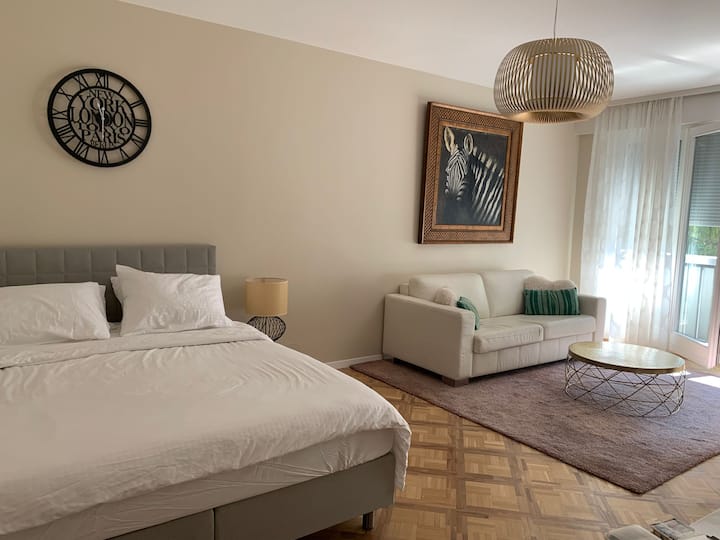Cosy Studio Central Geneva, Avec Parking - Carouge